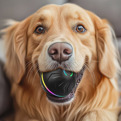 MotionPup Pro